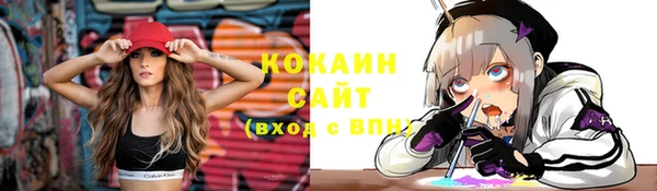 ПСИЛОЦИБИНОВЫЕ ГРИБЫ Арсеньев