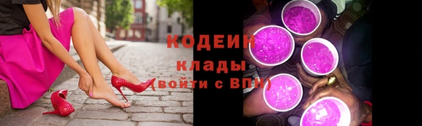 ПСИЛОЦИБИНОВЫЕ ГРИБЫ Арсеньев