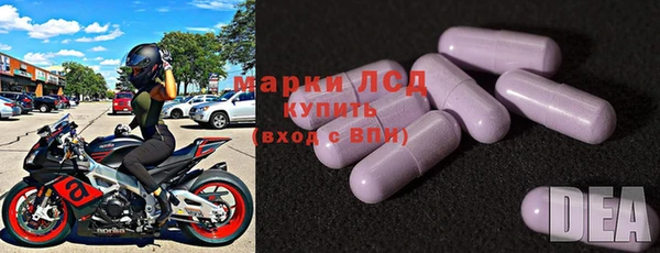 ПСИЛОЦИБИНОВЫЕ ГРИБЫ Арсеньев