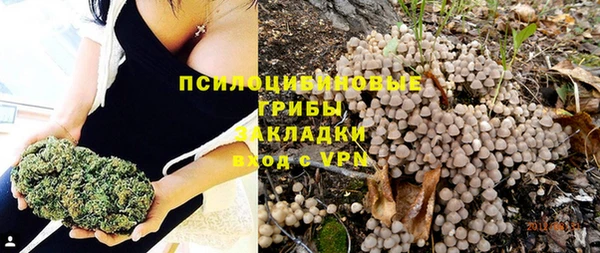 ПСИЛОЦИБИНОВЫЕ ГРИБЫ Арсеньев