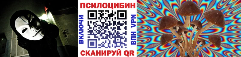 наркошоп  Изобильный  Галлюциногенные грибы Cubensis 